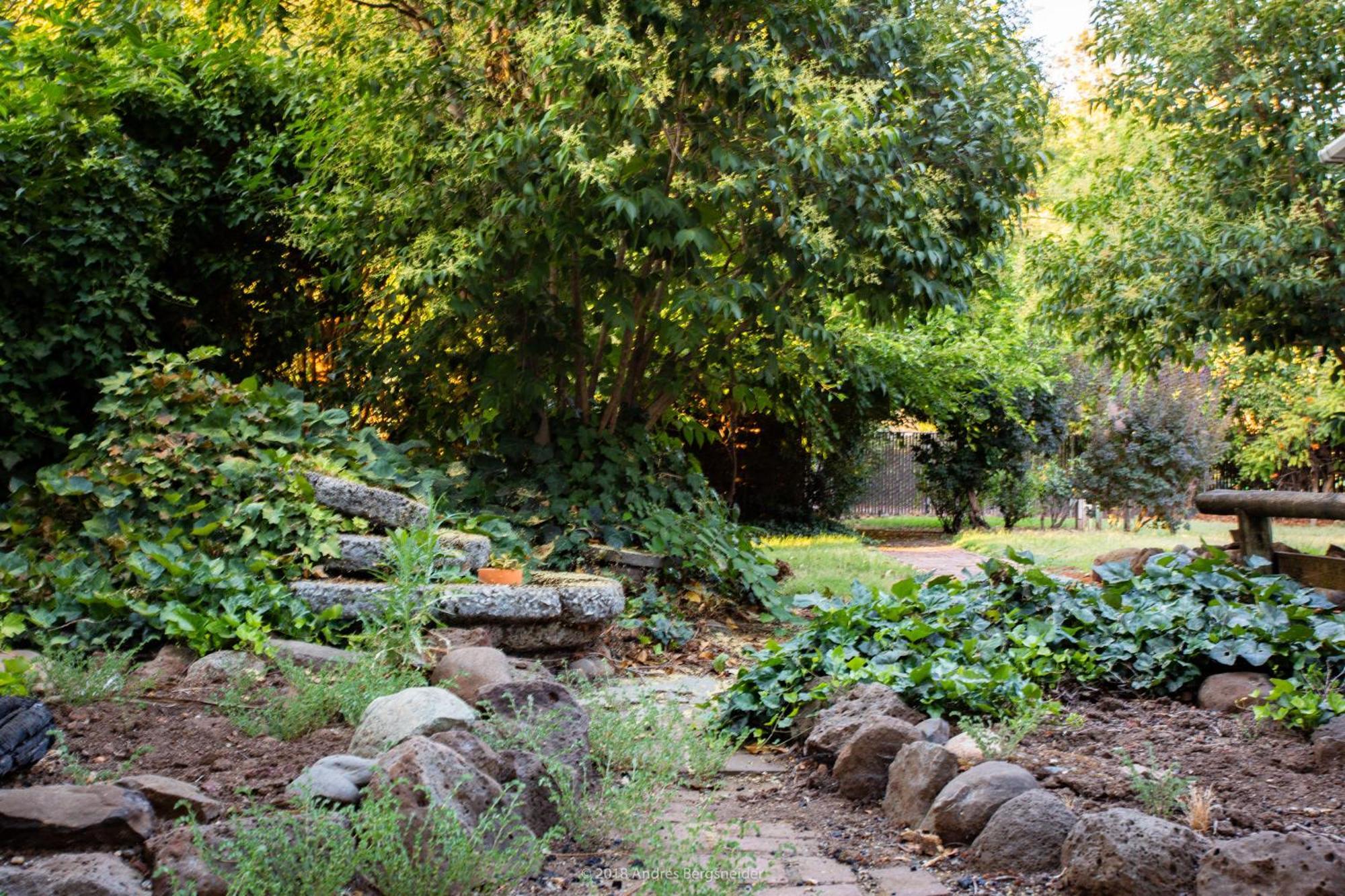 Downtown Dream Casa Near Chico State, Private Yard Vila Exterior foto